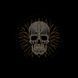 Худі люкс класичне флісРунічний Череп Фютхорн BRT-24188 фото 3
