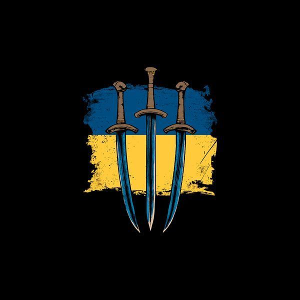 Футболка класична чоловіча/унісексМудрий Захисник Традицій Характерник BRT-1402 фото