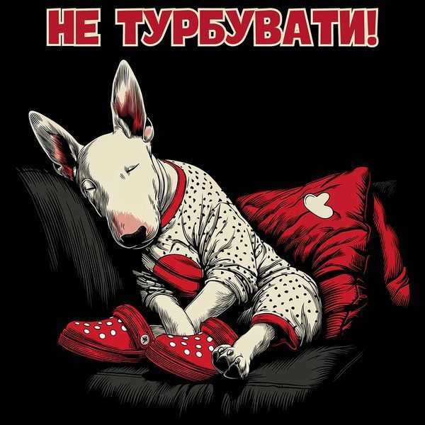 Худі класичне демісезонНе Турбувати Буль BRT-35776 фото
